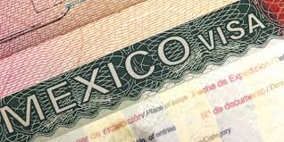 Image result for mexico visa